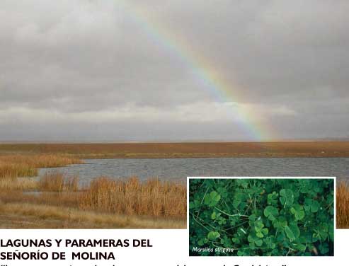 Lagunas y Parameras del Señorío de Molina