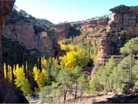 Barranco de la Hoz del Río Gallo