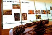 Centro de Interpretación "La Dehesa de Corduente" (Interior)