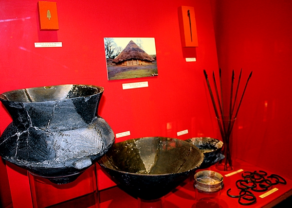 Sala de Arqueología