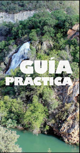 Guía práctica